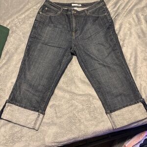 Chico‘s platinum